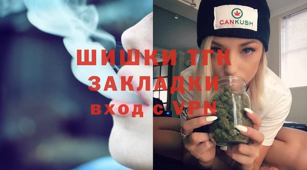 гашик Горнозаводск