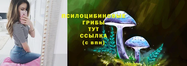 mdpv Гусь-Хрустальный