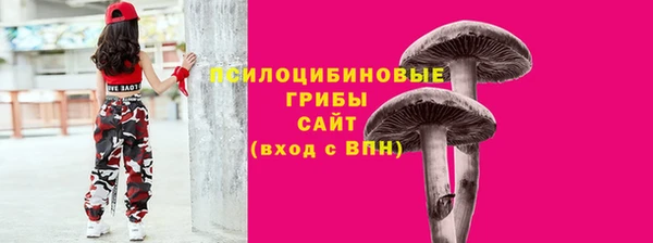 СК Гусев