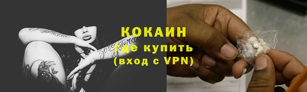 СК Гусев