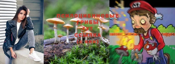 СК Гусев