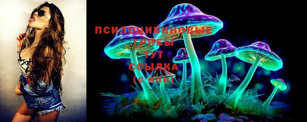 mdpv Гусь-Хрустальный
