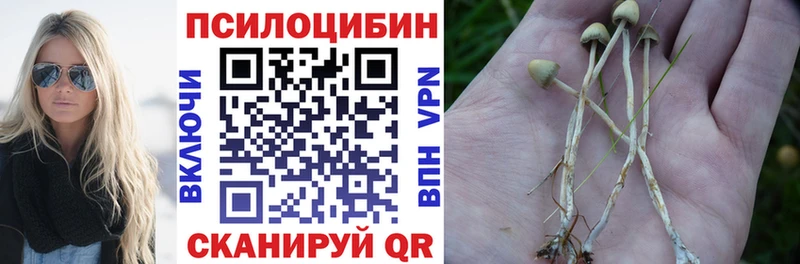 Купить  Знаменск  Галлюциногенные грибы ЛСД 